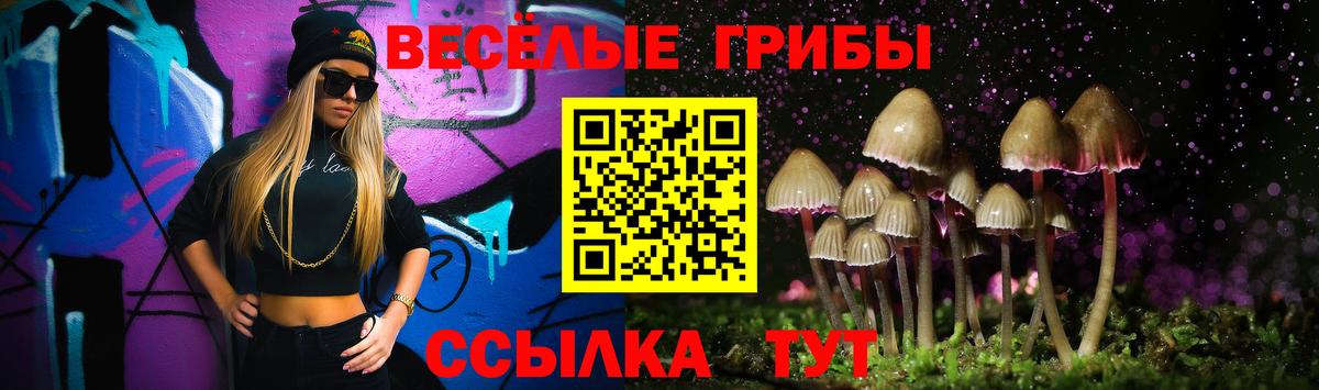 Псилоцибиновые грибы GOLDEN TEACHER  Псилоцибиновые грибы GOLDEN TEACHER  Алушта  Вход с VPN 